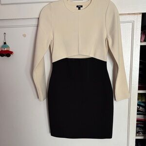 Express bodycon dress